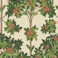 Orange Blossom Wallpaper - Orange and Spring Green/Parchment
